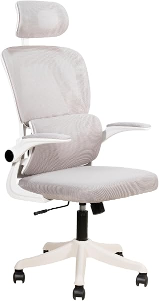 Cadeira Ergonômica Albha 3D Plus