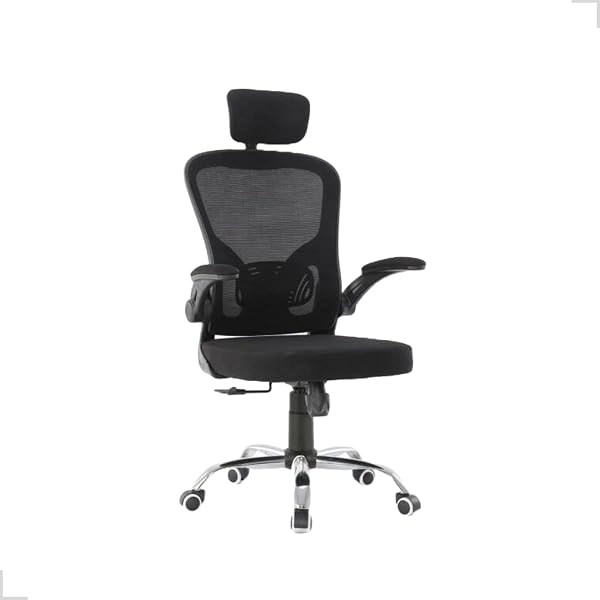 Cadeira Ergonômica Escritório Eurynom